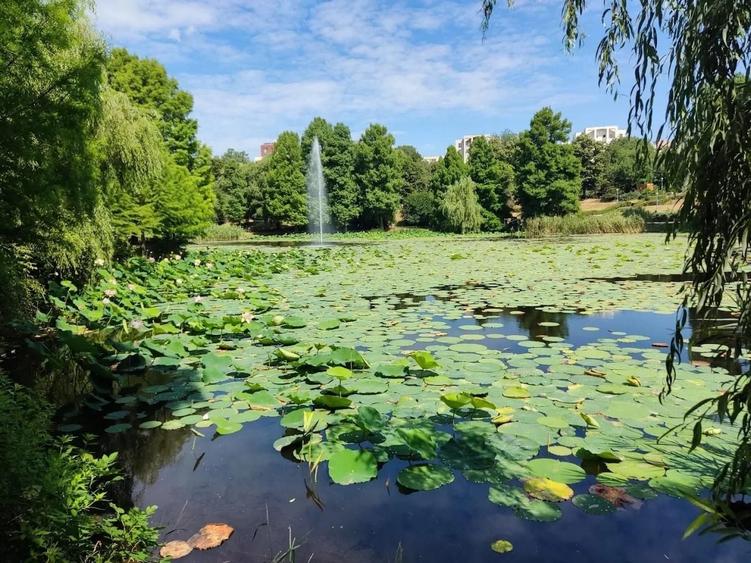 2 camere vedere Parcul Circului - parter | Lacul Tei-Barbu Vacarescu - 11
