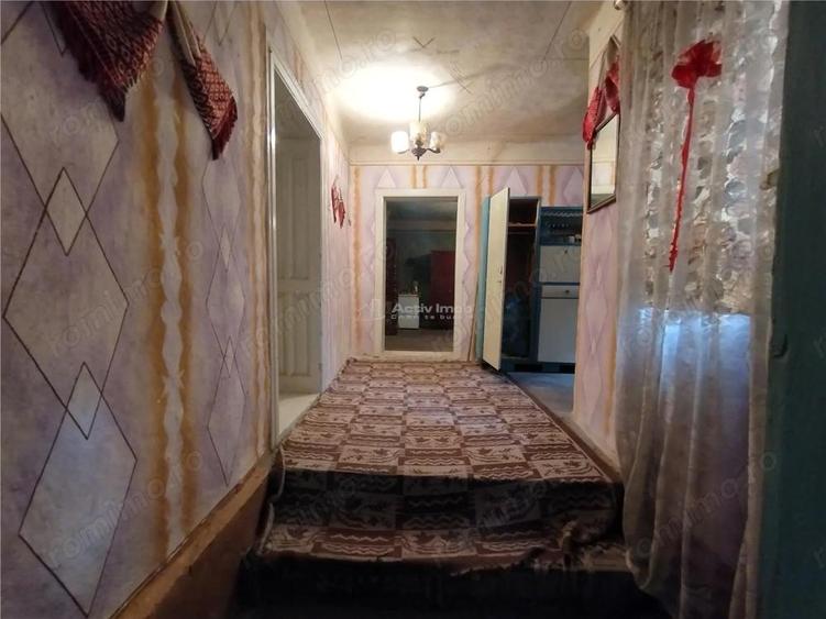 Bogodint, Casa cu 4 Hectare Teren, Pret Negociabil - 9