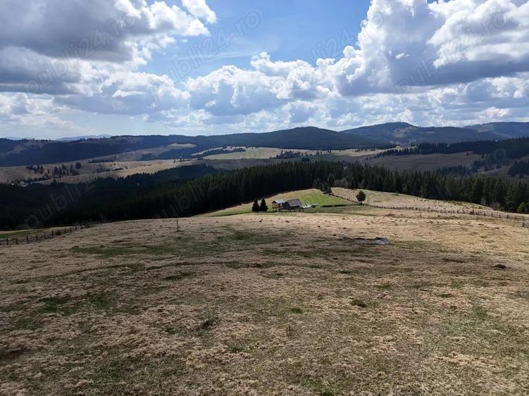 Teren de vanzare 15 hectare in Bucovina Moldova Sulita zona Lucina - 7