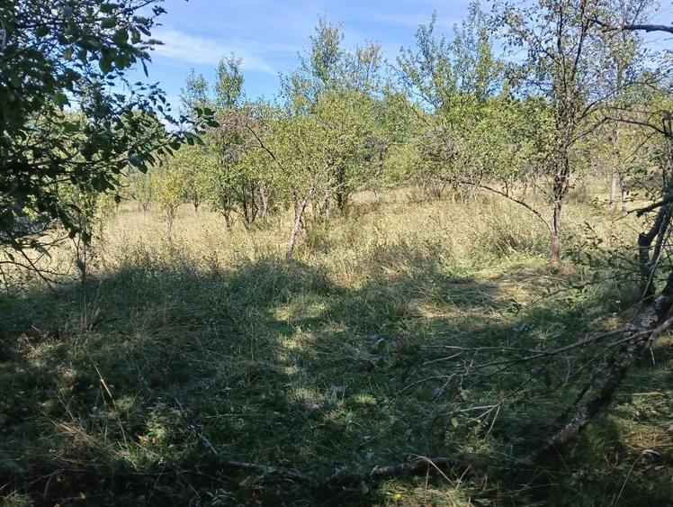 Vand Teren Radesti Stalpeni - 4