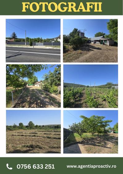 Casa ta de la țară te așteaptă, cu aer curat și povești nescrise - 2