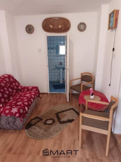 Casa 5 camere Rau Sadului - 13