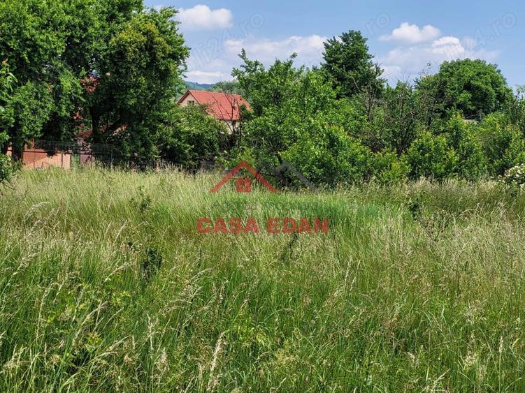 Teren intravilan in Brebu-- 3399mp--81.500e - 9