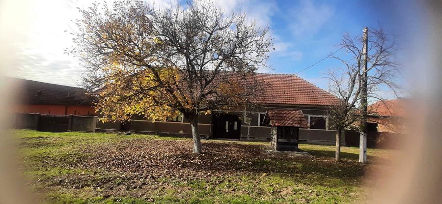 Casa Crocna intre Moneasa, Sebis si Gurahont - 5