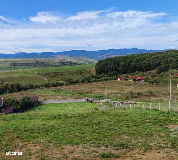 Teren intravilan sat Ciurila 1000 m - 1