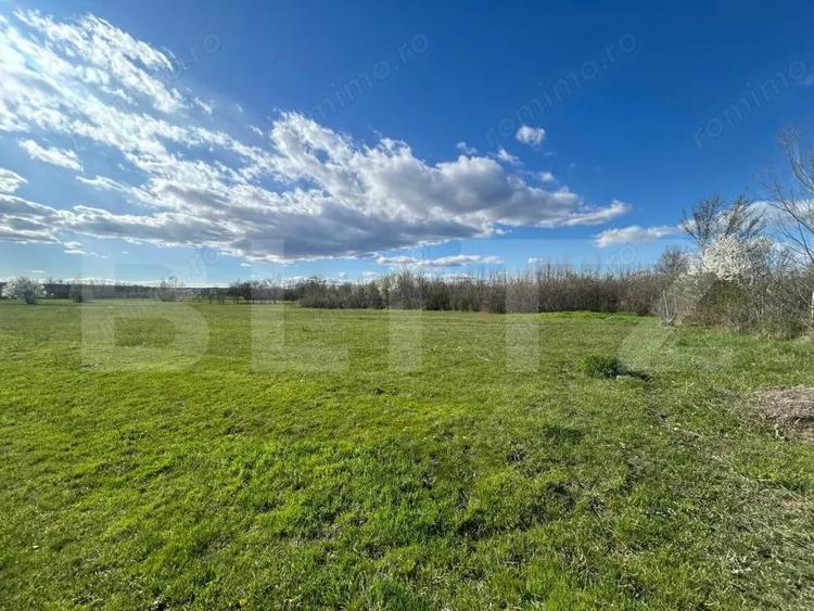 TEREN | RANCACIOV | 2000 MP | 700 INTRAVILAN | - 4