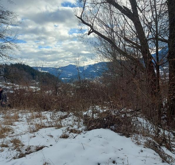 Teren intravilan la drumul na?ional comuna Hangu, Neamt, 5000mp - 3