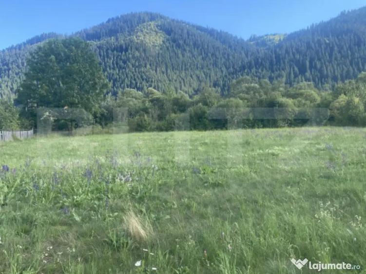 Teren de vanzare in Sadova, 900 mp - 3