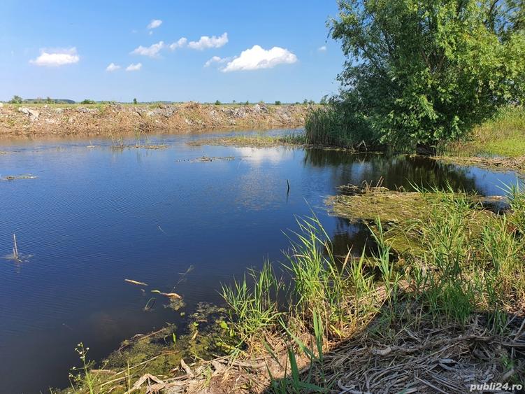 Casa in delta dunarii - 1