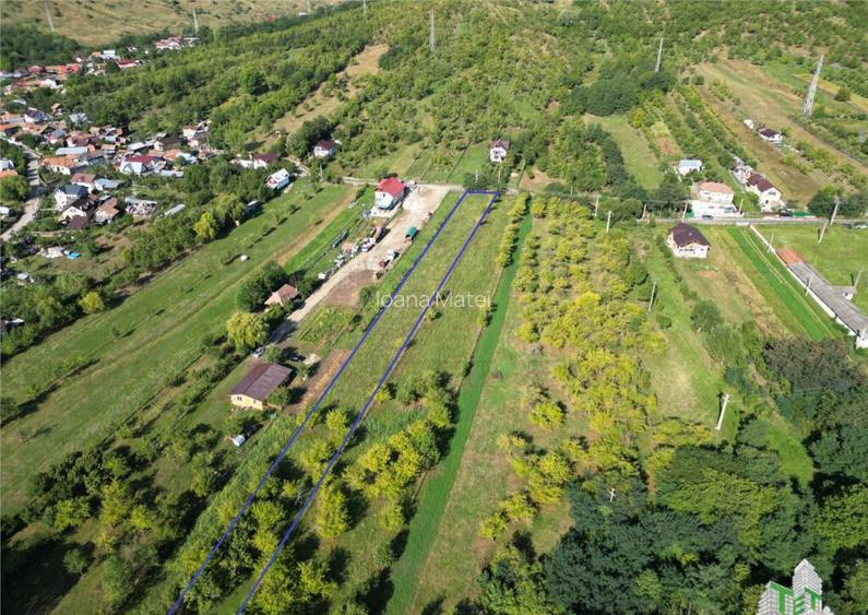 Teren intravilan de / Maneciu Pamanteni Teren intravilan de / Maneciu Pamanteni