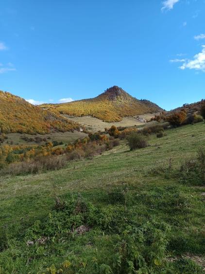 VÂND TEREN EXTRAVILAN 10.000 MP – ZONĂ MONTANĂ ARGEȘ - 6