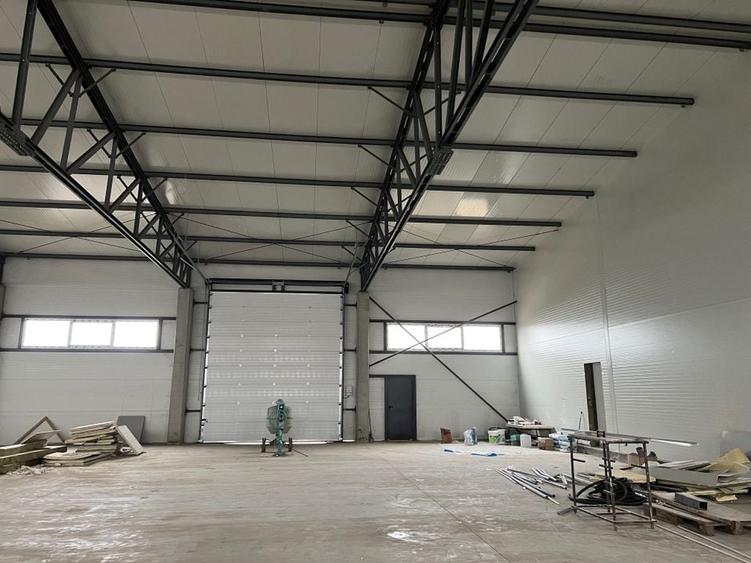 Spatiu depozitare si productie Chitila - 5