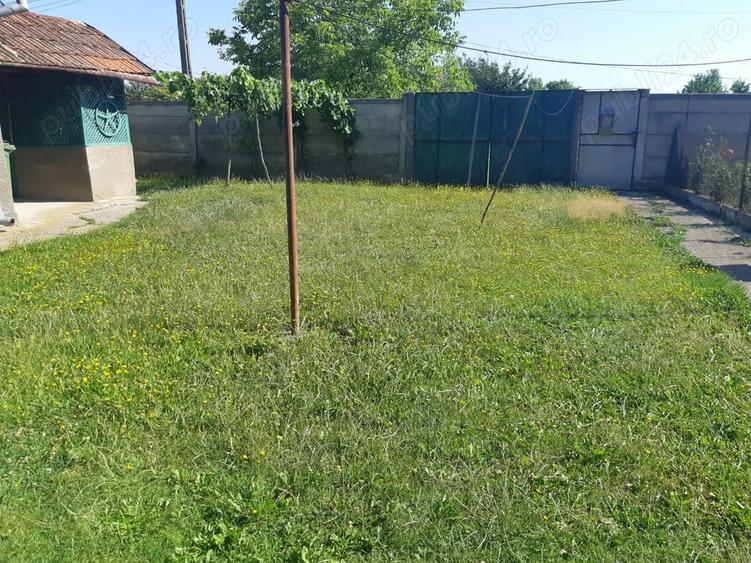 Vand casa cu gradina - 2