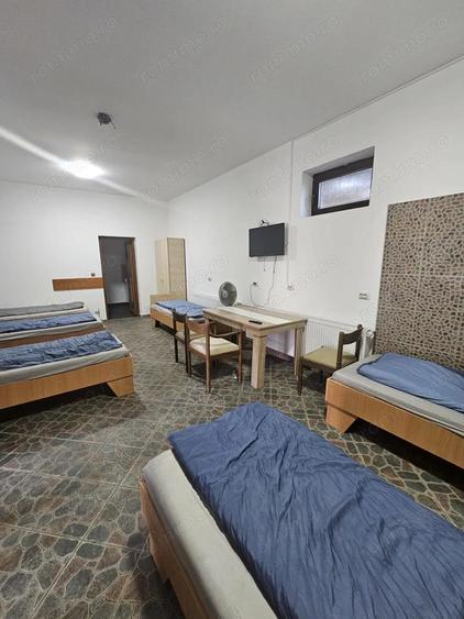 Proprietate speciala Dumbravita - casa individuala !! - 3