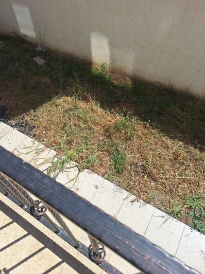 Tomis Nord, spatiu ideal BIROURI, 300 mp., curte, 2 locuri parcare - 5