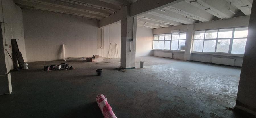 Spatiu Theodor Pallady - 8