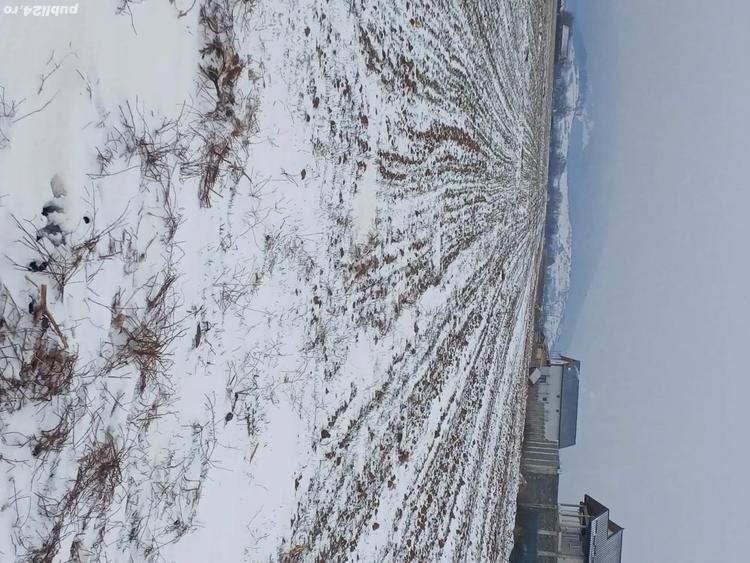 Teren extravilan in Carpini? - 9