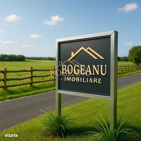 BG136-Teren Agricol 53 ha comasat-DJ 593A-Jud.Timis Peciu Nou - 1