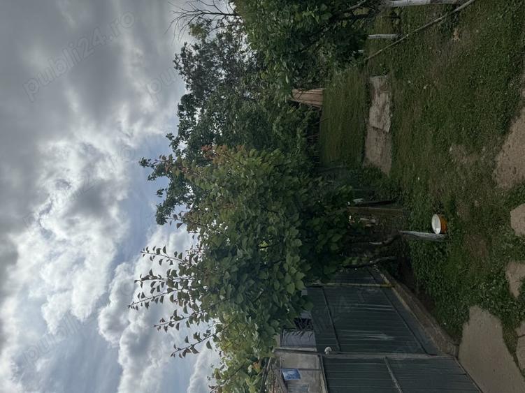 Casă cu 5 camere cu Teren 4800 Mp în Ceamurlia de Sus