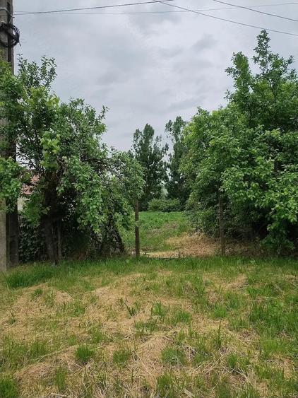 Teren de 1500 mp, în Păsăreni