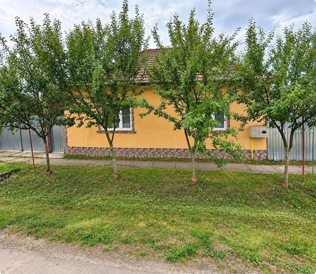 Casă cu Teren 1500 Mp în Central