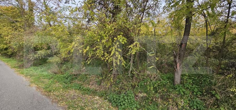 Teren Construcții intravilan de 1950 mp, în Gorgota
