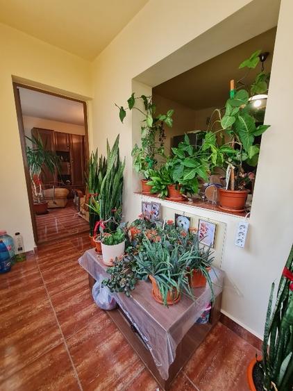 Apartament cu 3 camere decomandat, mobilat în Casa de Cultură