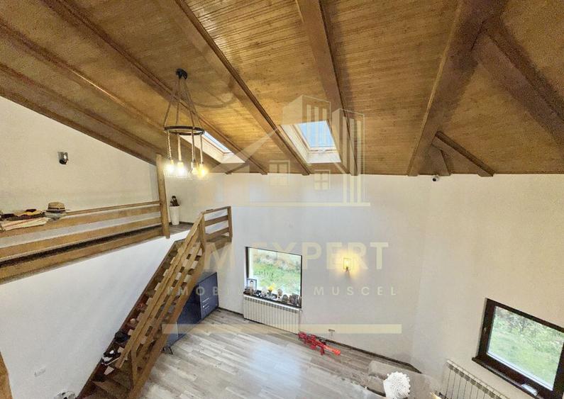 CASA 5 CAMERE 252 MP TEREN 1362 MP DRAGOSLAVELE ARGE? - 14