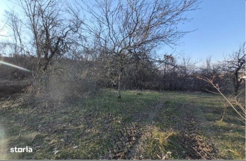 Teren intravilan arabil-com. Dumbrava, jud. Timis - 4