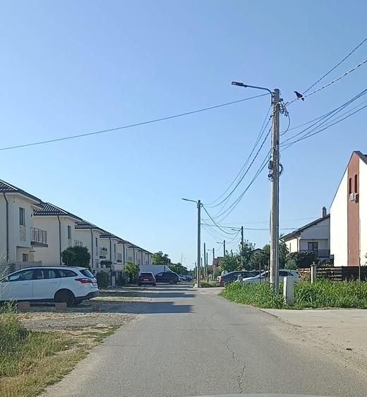 12368 mp teren pentru constructii,str-Iederei-str;Dumbravei deschidere 298 m - 1