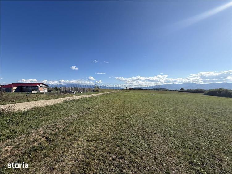 Teren de vanzare Sibiu - Selimbar zona Dealul Daii - Platoul Zorabia - 7