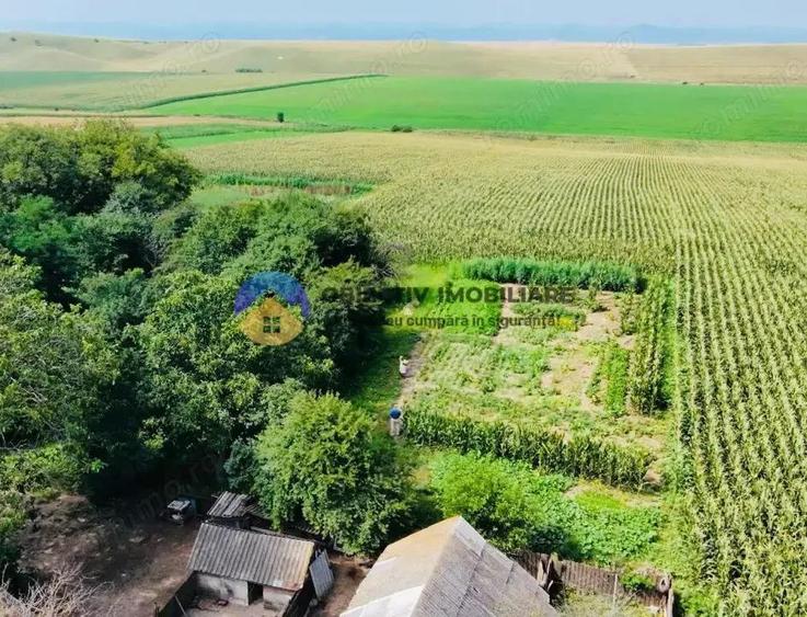 Teren de vanzare 9126 mp- comuna Stefan cel Mare - 3