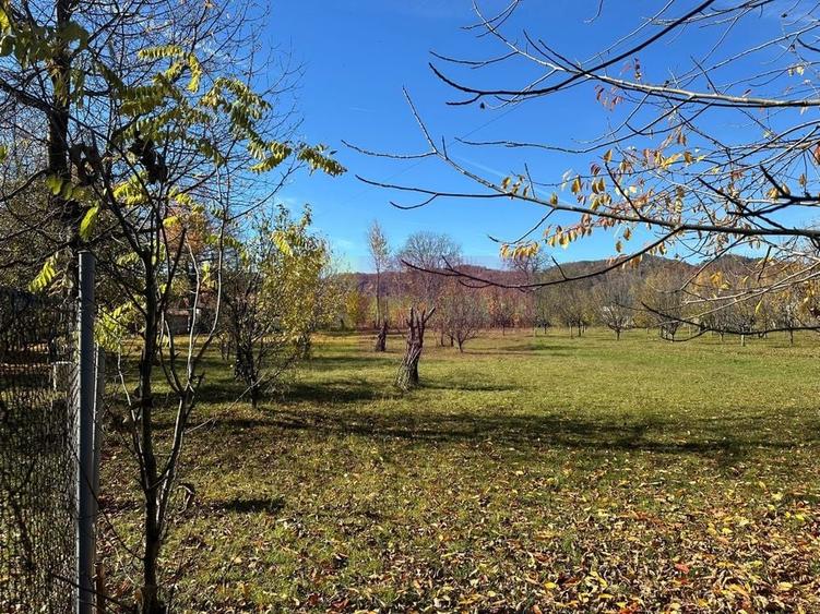 Teren intravilan de vanzare in Brebu (zona foarte linistita) - 6