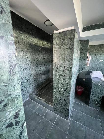 Casă individuală cu 10 camere cu Piscina în Girocului