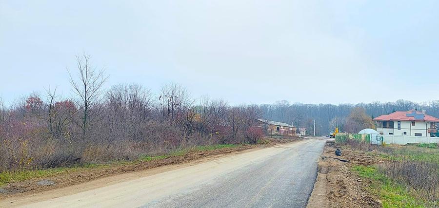 Teren de vânzare – 1000 mp în Mogoșoaia, zonă ideală pentru locuință - 11