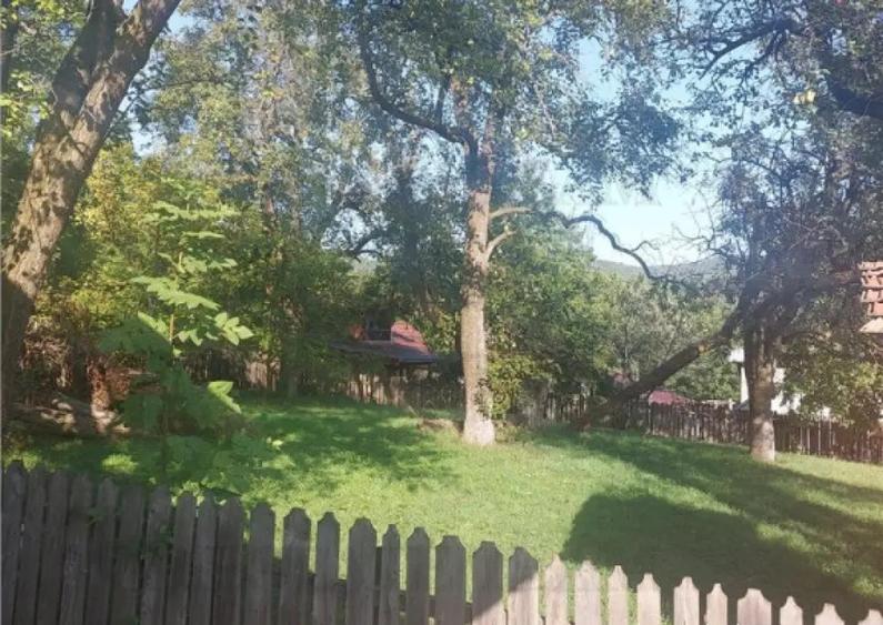 Valea Prahovei - Comarnic/ Casa 3 camere/ pivnita/ curte 55 - 12