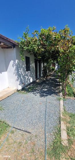 Corbu - Casa de vacanta pe malul Marii Negre - 4 camere - 17