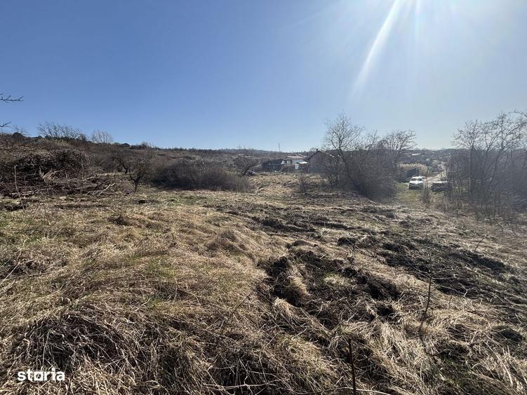 Teren Pomet/3 km Auchan - 4