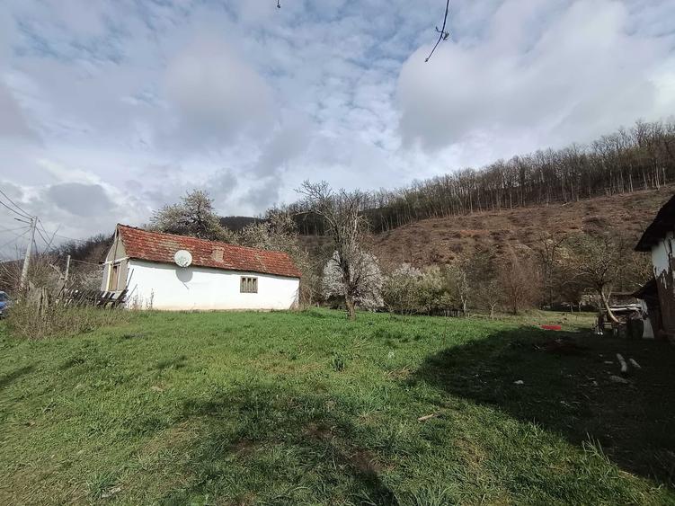 Tern cu casa batraneasca de vanzare - 6