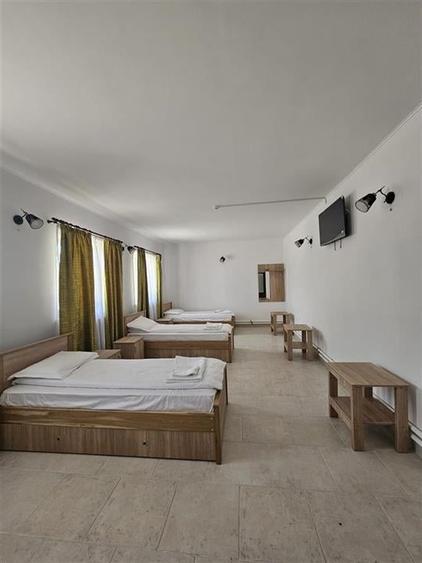 DOMENIU DE VANZARE  IN BORZESTI / ONESTI TABARA DE COPII,AZIL BATRANI,CENTRU DE - 10