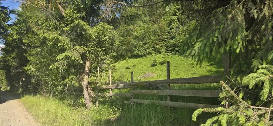 Teren de 1000 mp, în Colibița
