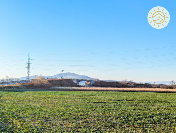 Teren intravilan 22800mp la 2km de Parcul Industrial Prejmer - 1