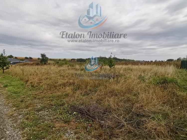 Teren drept 1260 mp, deschidere de 50 m, Loc. Dobreni, Jud Neamt - 1