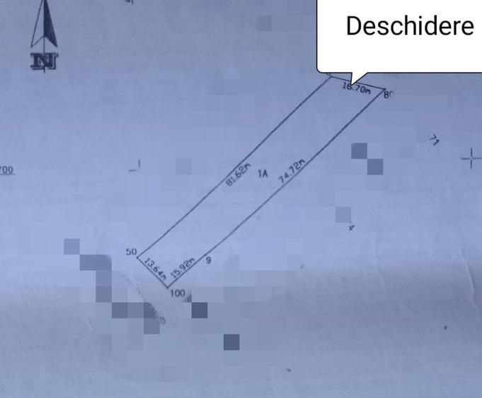 Teren Bradu / Pasarela , Intravilan / Arabil ! - 6
