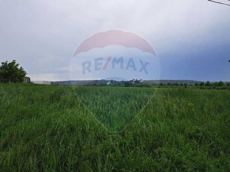 Teren Ciolpani 15.000 mp oportunitate posibilitate lotizare 5000 mp - 8