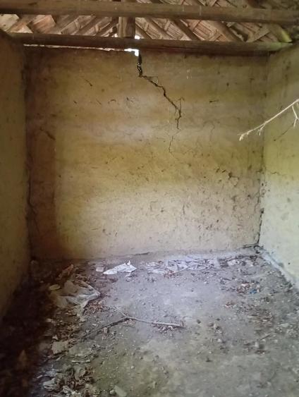 casa batraneasca de vanzare - 2