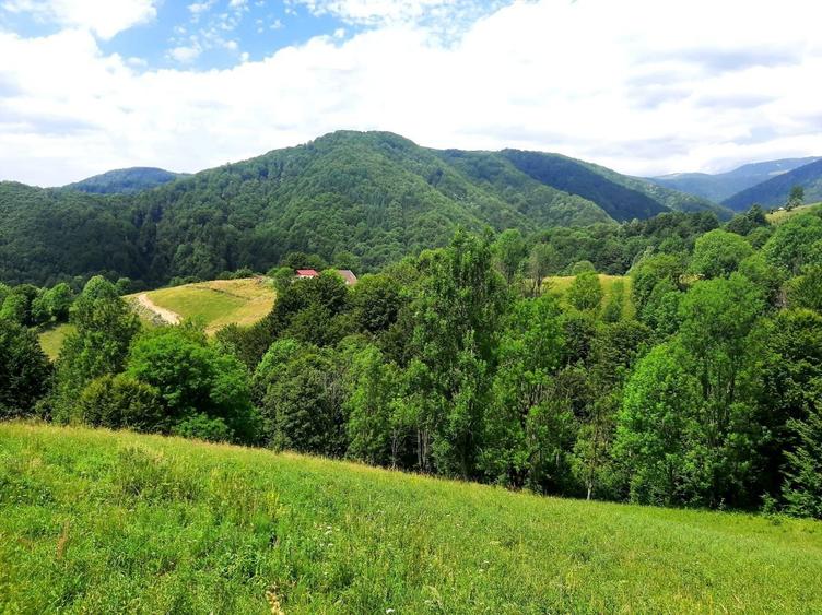 Izbucul Cernei,Gorj - 4