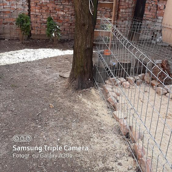 Casa cu centrala - 5