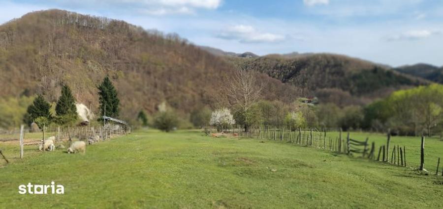 Teren intravilan Closani, 8674 mp pensiune/ casa vacanta - 2