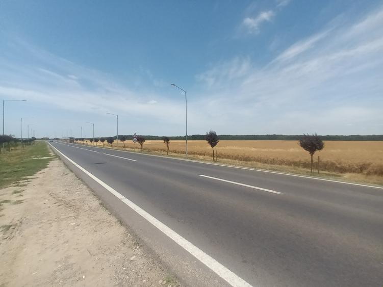 Teren Vanzare Intravilan Branesti - Investitie Zona Industriala Vis a Vis Makita - 26